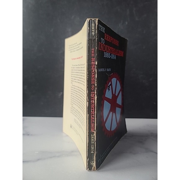 The Response To Industrialism 1885-1914 - Samuel P Hays 1960 Vintage Paperback - Picture 10 of 10
